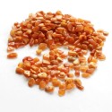 6 -11 mm Drilled Amber Beads DR25