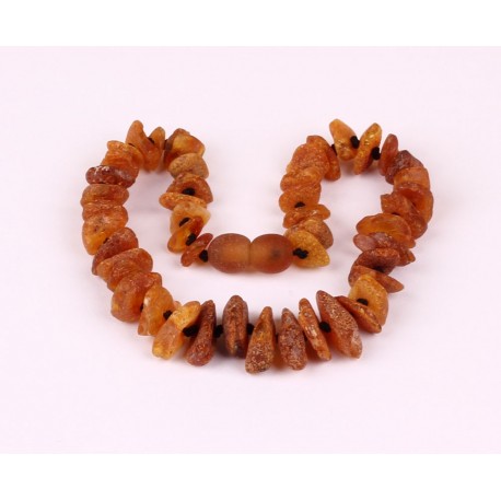 Amber necklaces for dogs