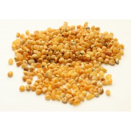 5 -7 mm Drilled Amber Beads DR22
