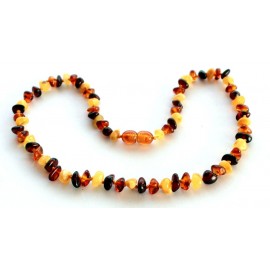 Amber necklaces 5 items