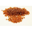 Loose Drilled Amber Beads